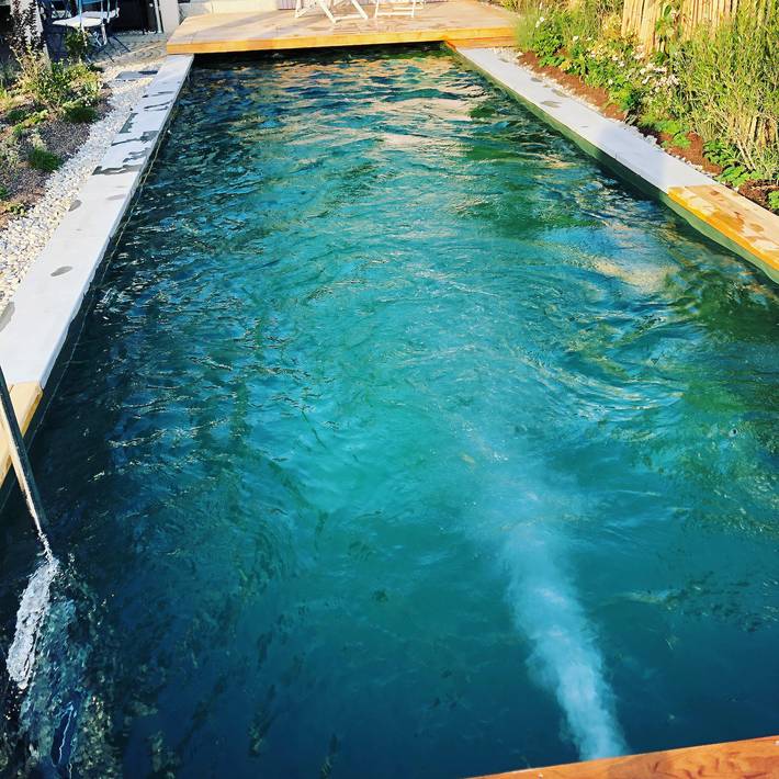 Ferienwohnung für 3 Personen, mit Sauna und Garten sowie Terrasse in Bodman-Ludwigshafen - 2