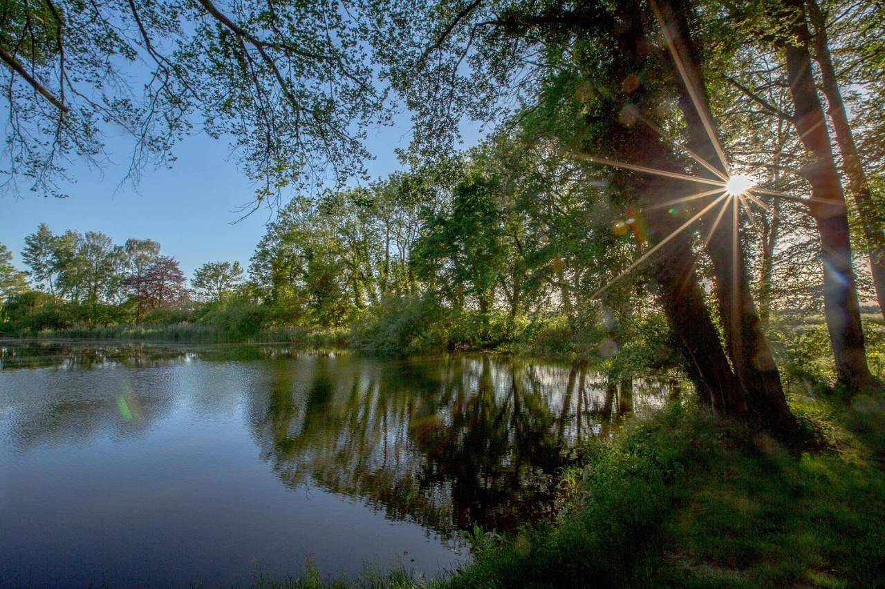 Matys Landhausperle an der Müritz in Röbel, Müritz