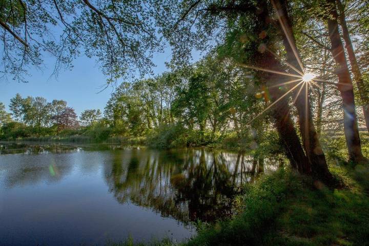 BnB für 2 Personen, mit Terrasse und Garten in Mecklenburgische Seenplatte