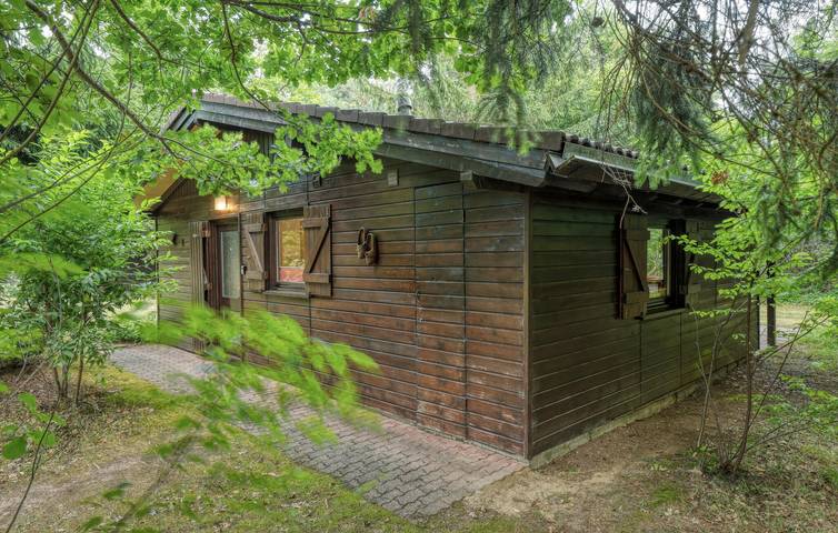 Ferienhaus für 6 Personen, mit Terrasse in der Pfalz - 4