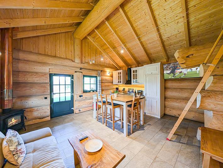 Ferienhaus für 4 Personen, mit Garten und Terrasse sowie Sauna am Tollensesee - 4