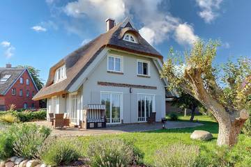 Ferienhaus für 6 Personen, mit Sauna und Terrasse sowie Garten, mit Haustier in Middelhagen
