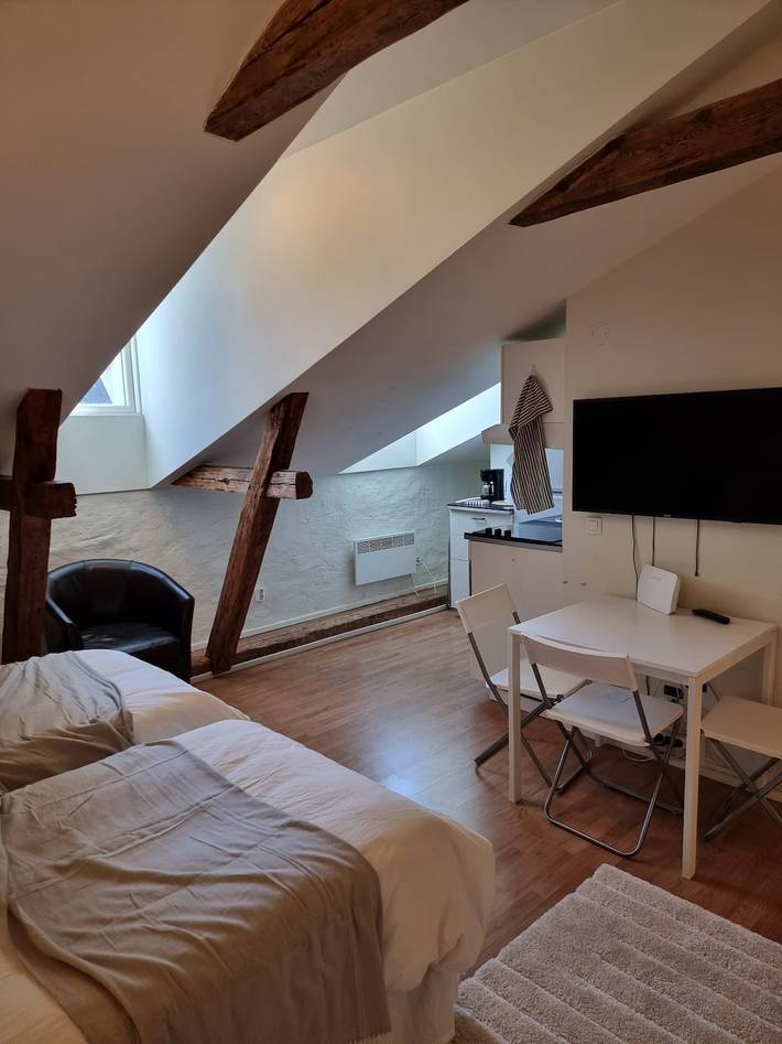 Hel semesterlägenhet, Stockholm City Chic-1-Bedroom Loft for 3 in Norrmalm, Stockholm