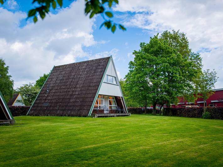 Ferienhaus für 8 Personen, mit Sauna und Terrasse, mit Haustier in Damp - 3