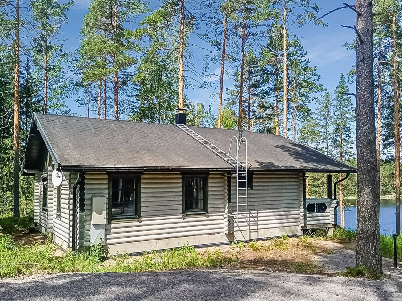 Villa norppa in Savonlinna, Pihlajavesi