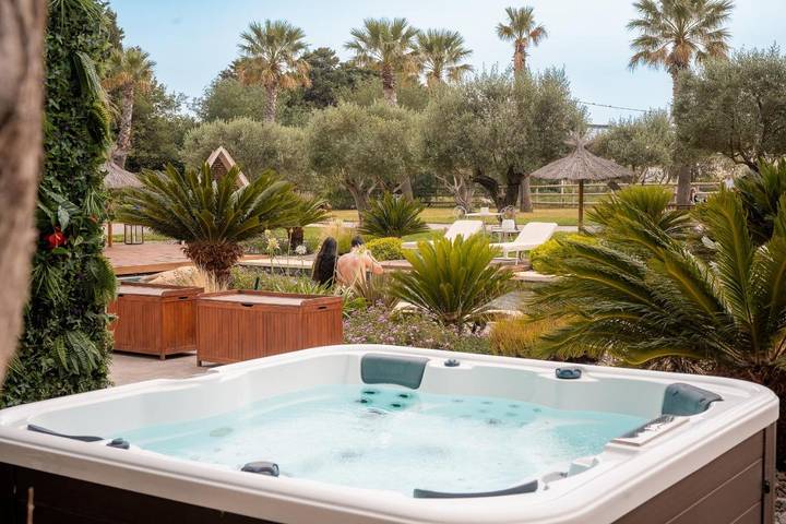 Location de vacances pour 18 personnes, avec jacuzzi ainsi que piscine et terrasse à Camélas