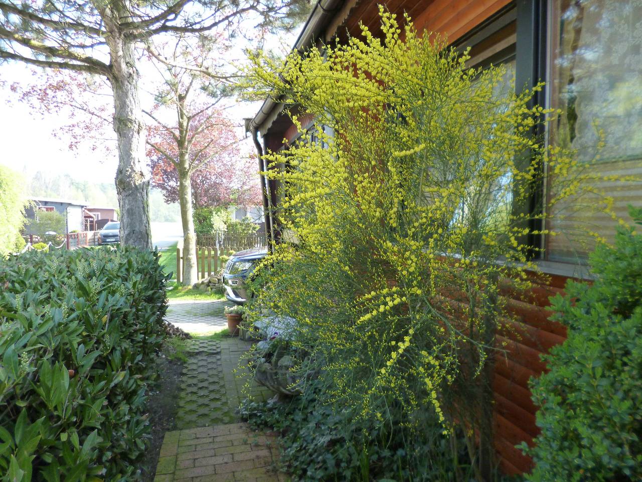 Ferienhaus "An der Seewiese" in Ostercappeln, Osnabrücker Land