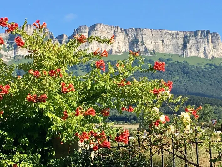 Casa de vacaciones para 8 personas, con vistas y jardín, Se admiten mascotas - 1