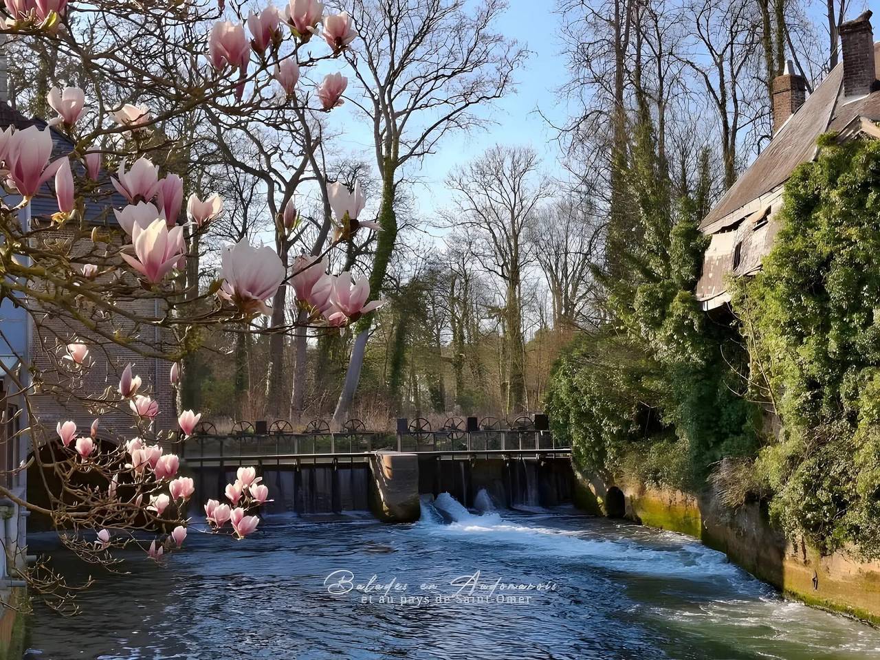 Chambre d'hôtes « Une Nuit Près De L'eau » avec Wi-Fi in Hallines, Région de Saint-Omer