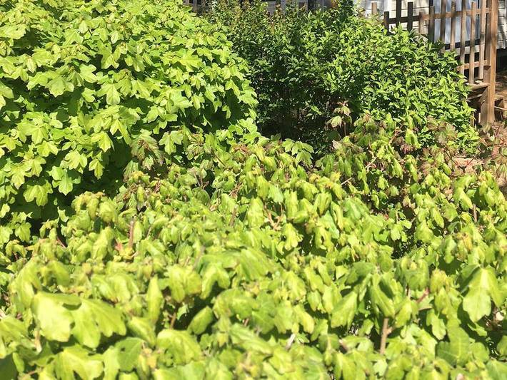 Mobil home pour 6 personnes à Domme - 2