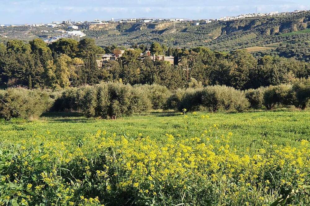 Villa for 7 People in Iraklio-Heraklio region