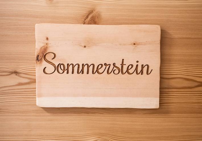 Ganze Ferienwohnung, Sommerstein in Maria Alm, Steinernes Meer