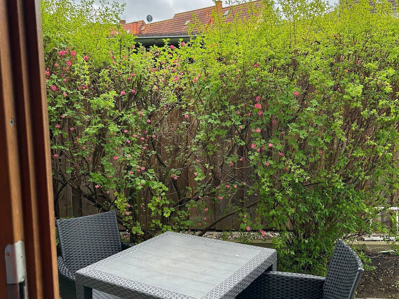 Ganze Ferienwohnung, Körner Nr. 1 - Abc27 - Körner Nr. 1 - Abc27 in Wismar, Nordwestmecklenburg (Wismar und Umgebung)