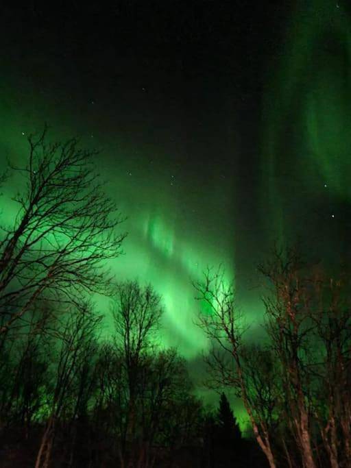Gîte pour 8 personnes, avec jardin et vue, animaux acceptés dans Tromsø - 4