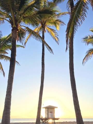 Vacation House for 5 Guests in Hollywood Beach (FL), Hollywood (FL), Picture 4