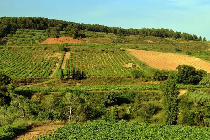 Gîte pour 4 personnes, avec vue et jardin dans San Martin Sarroca - 2