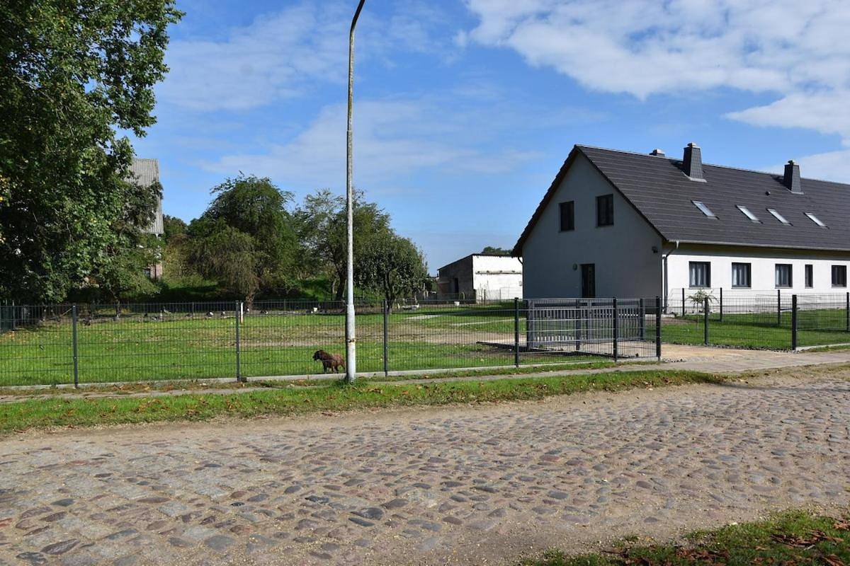 Ganze Wohnung, Ferienwohnung zur Schlossruine in Putzar, Boldekow