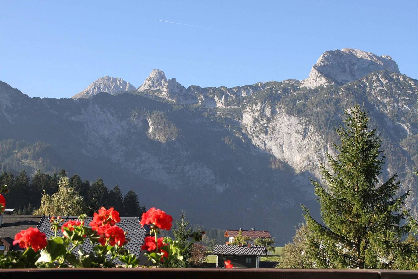 Ganze Ferienwohnung, Apartment 2/ "Wawi" in Abtenau, Tennengau