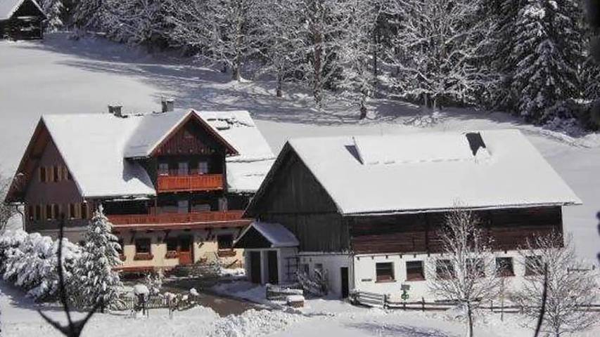 Bauernhof für 2 Personen, mit Garten in Ramsau am Dachstein - 2