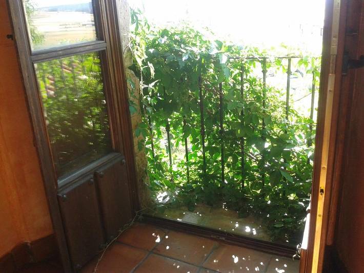 Casa rural para 2 personas, con vistas y jardín, Se admiten mascotas en Castilla-La Mancha - 3