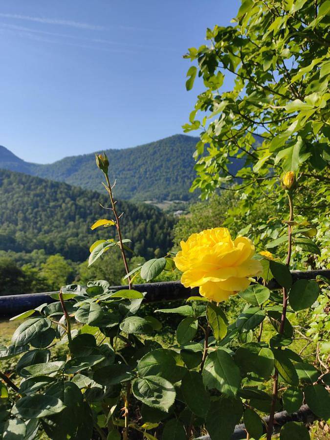 Location de vacances pour 6 personnes, avec Balcon ainsi que Terrasse et Vue à Peyrouse - 3