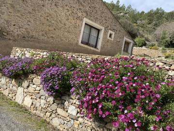 Gîte pour 6 personnes, avec terrasse dans l' Hérault
