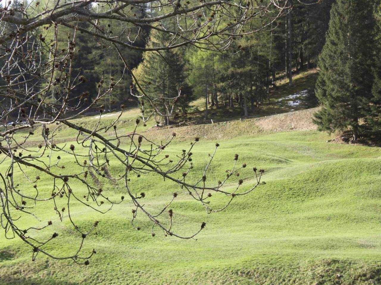 Maiensäss La Scera in Poschiavo, Livigno Alpen
