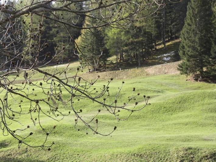 Maiensäss La Scera in S. Carlo (Poschiavo), Poschiavo