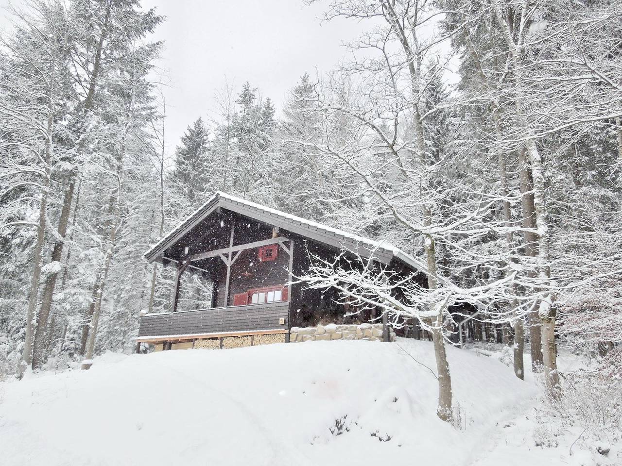 Blockhaus mit Terrasse und Grill am Bodewasserfall in Braunlage, Harzvorland
