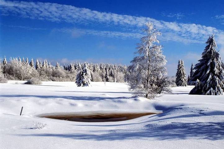 Maison de vacances pour 8 personnes, avec sauna et jardin ainsi que terrasse et jacuzzi à Waimes