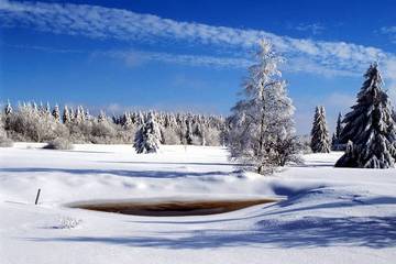 Location de vacances pour 8 personnes, avec jacuzzi et jardin ainsi que sauna et terrasse dans Ovifat
