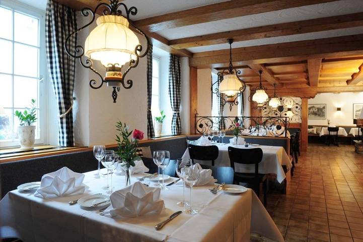 Hotel für 3 Personen, mit Terrasse und Garten, kinderfreundlich in Waldshut-Tiengen - 3