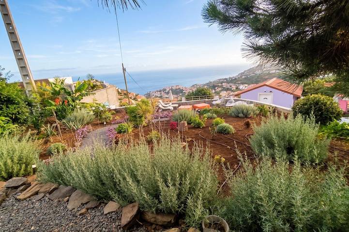Homerez - Ferienhaus in Ponta do Sol in Pináculo, Ponta do Sol