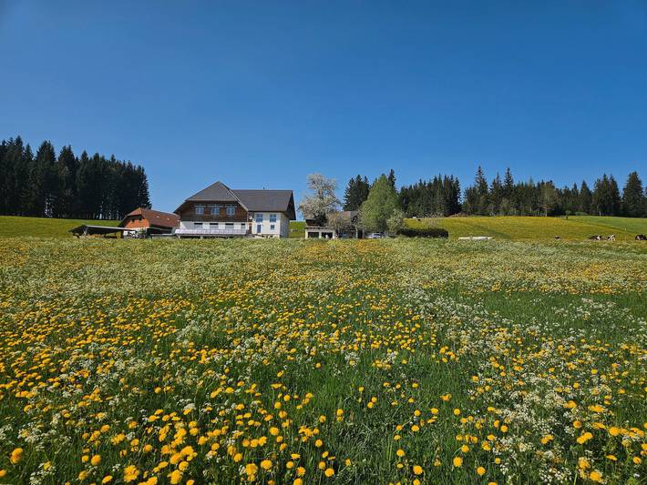 Ferienwohnung für 2 Personen, mit Garten und Terrasse, mit Haustier in Suedlicher Schwarzwald - 2