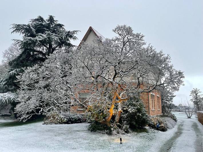 Location de vacances pour 2 personnes, avec terrasse ainsi que vue et jardin à Oostkamp - 3