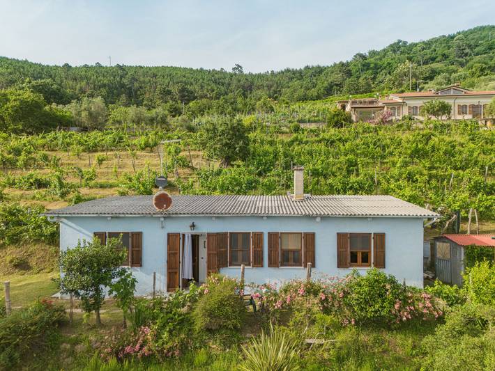 Casa vacanza per 5 persone, con giardino e terrazza - 1