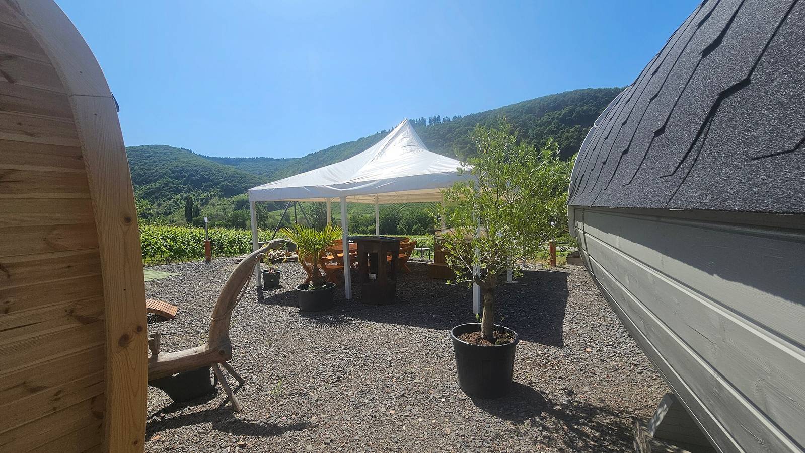 Schlaffass Naima – Wijngaarden en Moezelzicht in Burg (Mosel), Bernkastel-Kues en Omgeving
