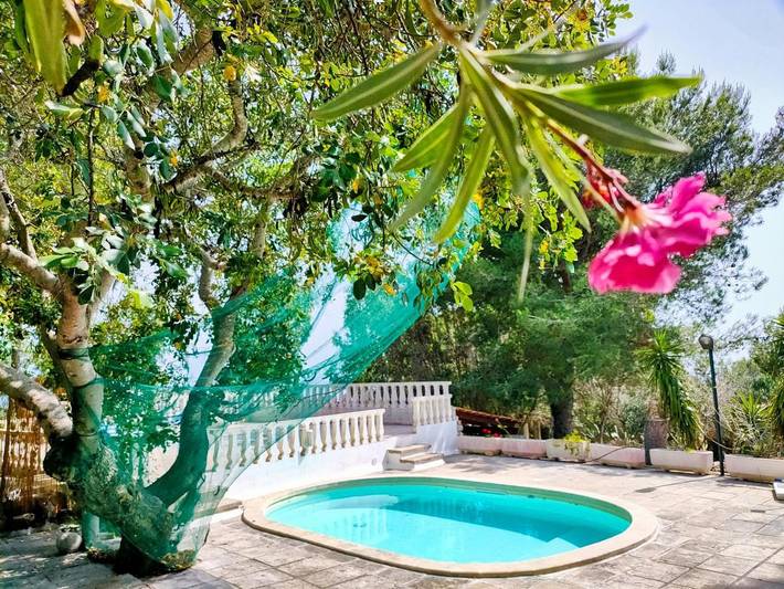 Apartahotel para 3 personas, con Terraza además de Jardín y Piscina en Apulia
