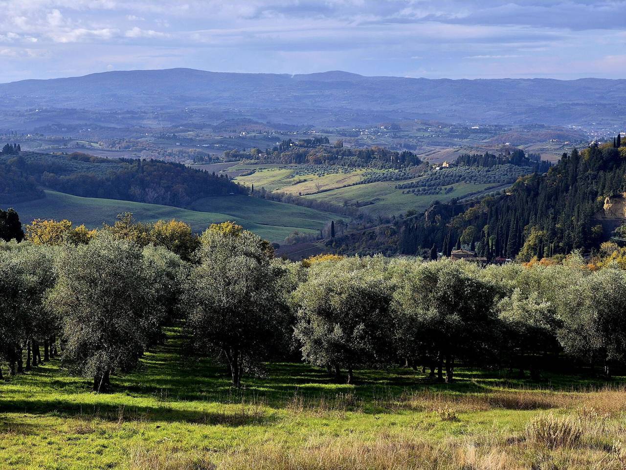 Novellina in Certaldo, Chianti