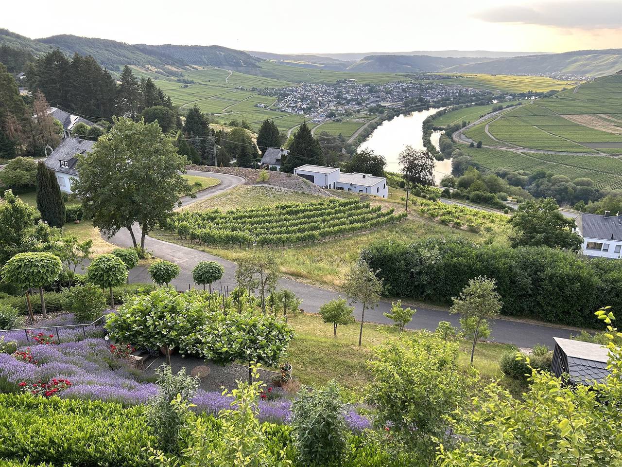Ganze Ferienwohnung, Ferienwohnung "Auszeit Im alten Weinberg" in Leiwen, Moseleifel