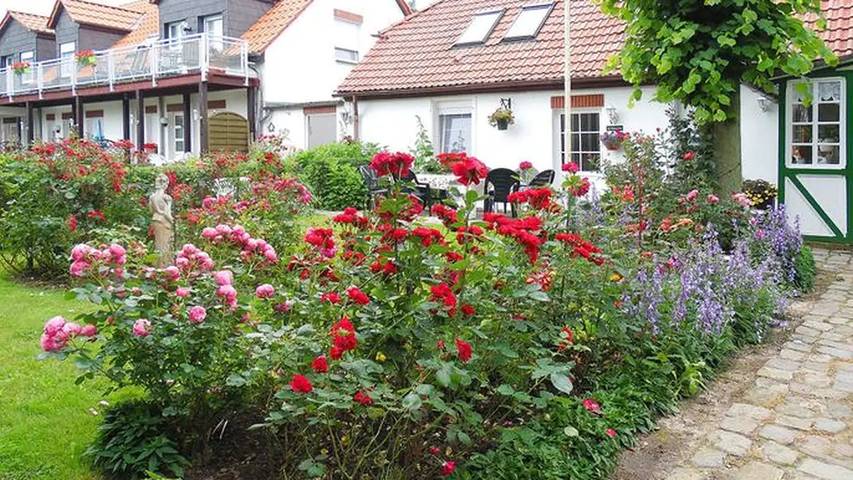 Ferienwohnung für 2 Personen, mit Balkon und Terrasse sowie Garten und Sauna auf Usedom - 4
