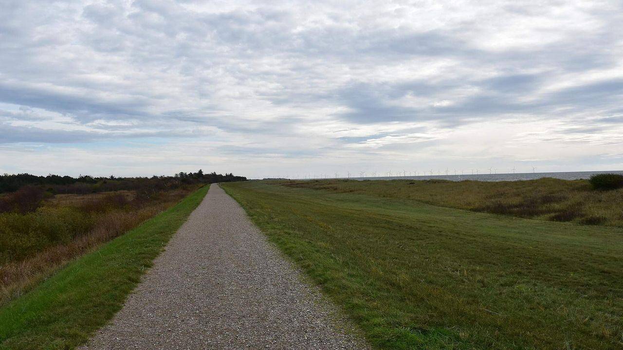 Ferienhaus für 6 Personen (72 m²) in Rødby in Hyldtofte Østersøbad, Rødby