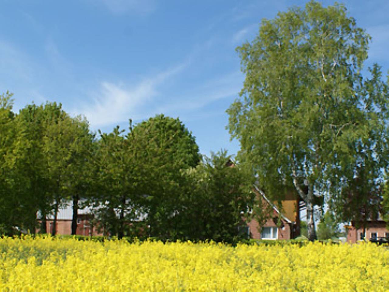 Komfort-Ferienwohnungen Ferienhof Schulz in Brodersby - Ferienwohnung 2 Frische Landluft in Brodersby, Rendsburg-Eckernförde