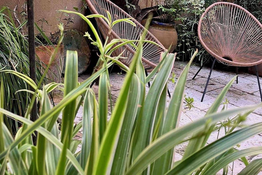 Entire apartment, Sur La Route de Beauval 5 mn du Zoo - Cosy apartment - 1 to 2 persons in Saint-Aignan, Romorantin-Lanthenay region