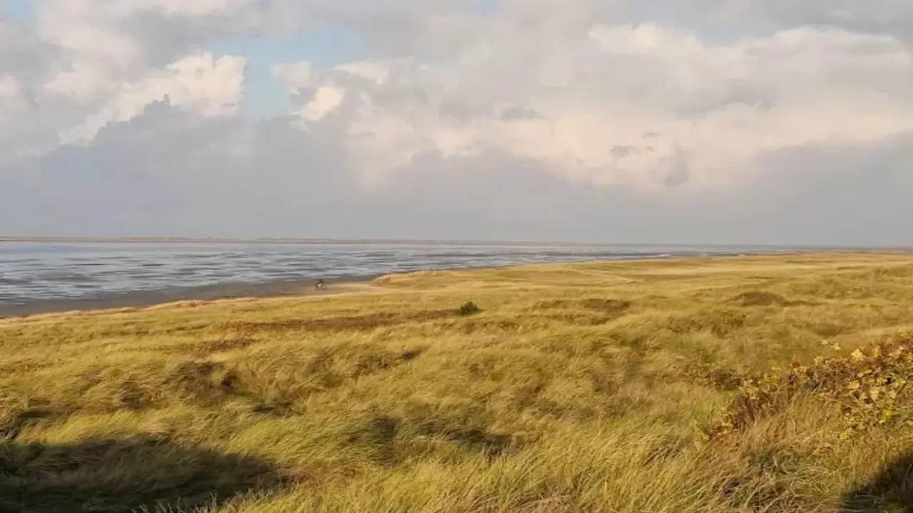 Ferienhaus für 10 Personen (148 m²) in Rømø in Sønderstrand, Havneby