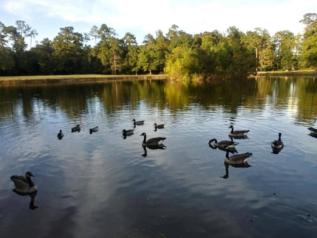 Wunderschönes Executive Estate, nur 20 Minuten von New Orleans entfernt in Lake Pontchartrain