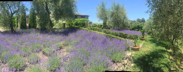 Villa for 10 People in Lucca, Lucca Province, Photo 4