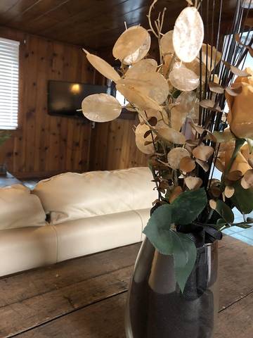 Vacation Home for 4 Guests in Ohio, USA, Picture 3