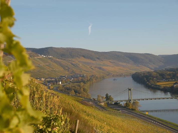 Fewo Mosel (Street level) in Wehlen (Rheinland-Pfalz), Bernkastel-Kues