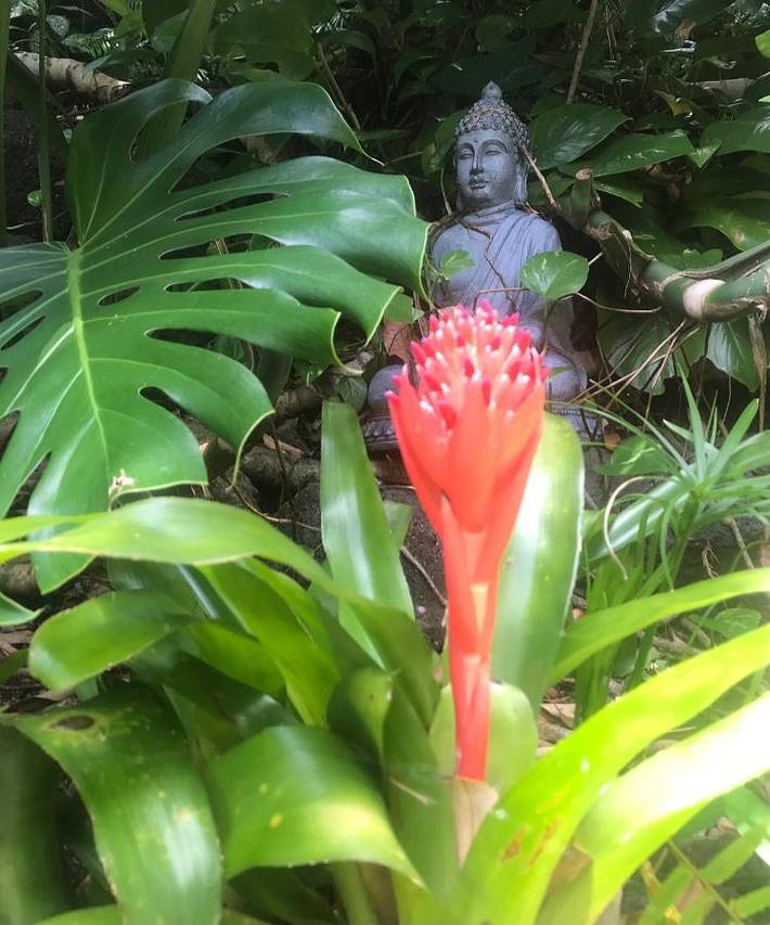 Location de vacances pour 4 personnes, avec jardin et piscine dans Vincendo - 4